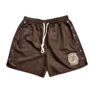 Saint Vanity Nylon with Logo in Brown Shorts